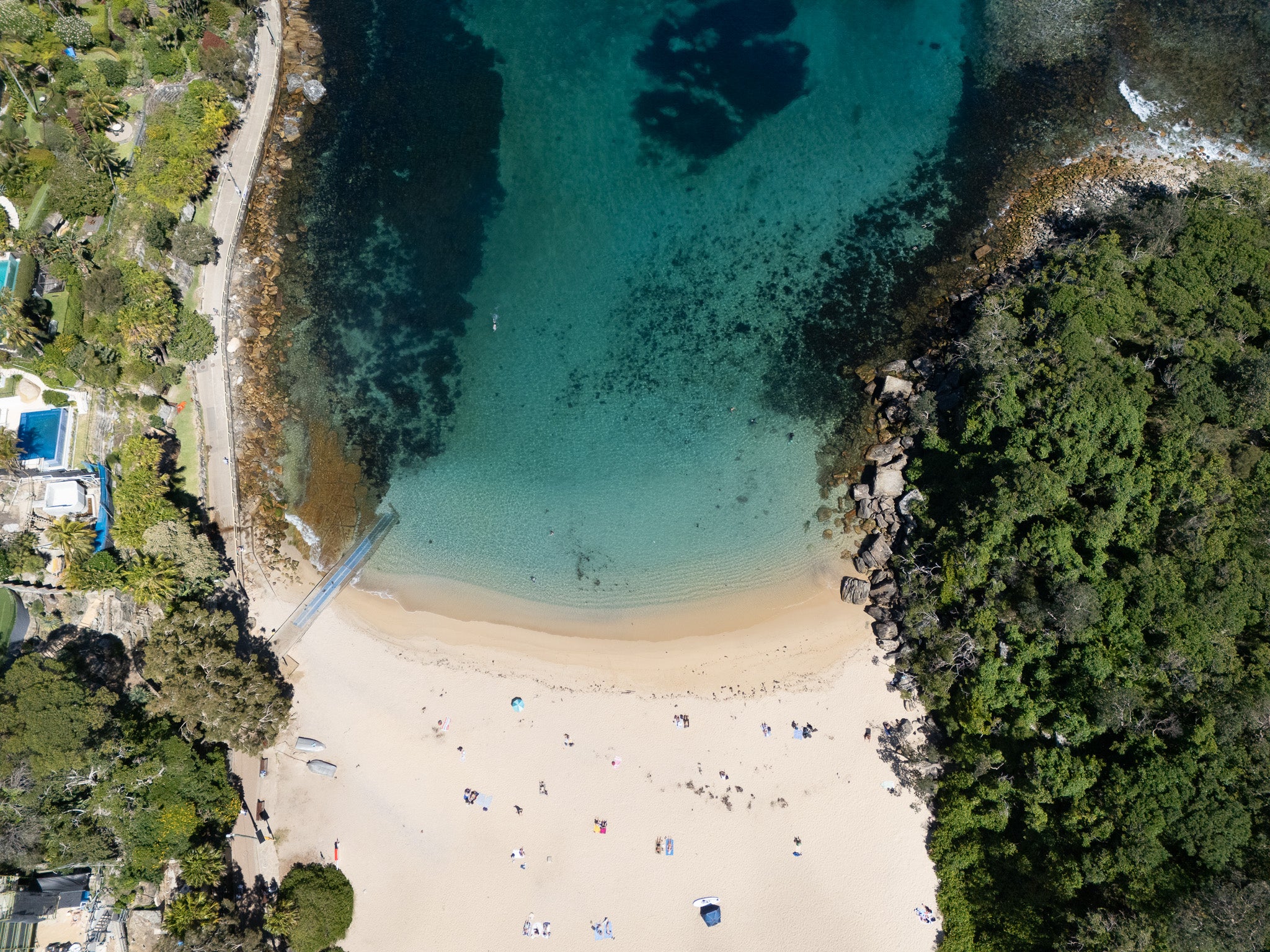 "Shelly Beach"
